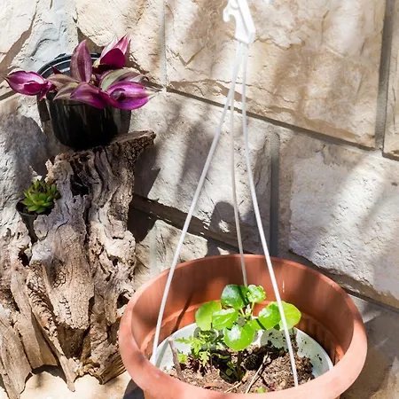 By The Sea Zuljana, Peljesac - 10233 Žuljana