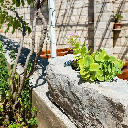 Apartament By The Sea Zuljana, Peljesac - 10233