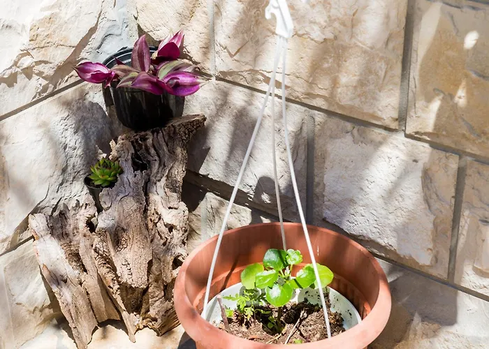 By The Sea Zuljana, Peljesac - 10233 Žuljana